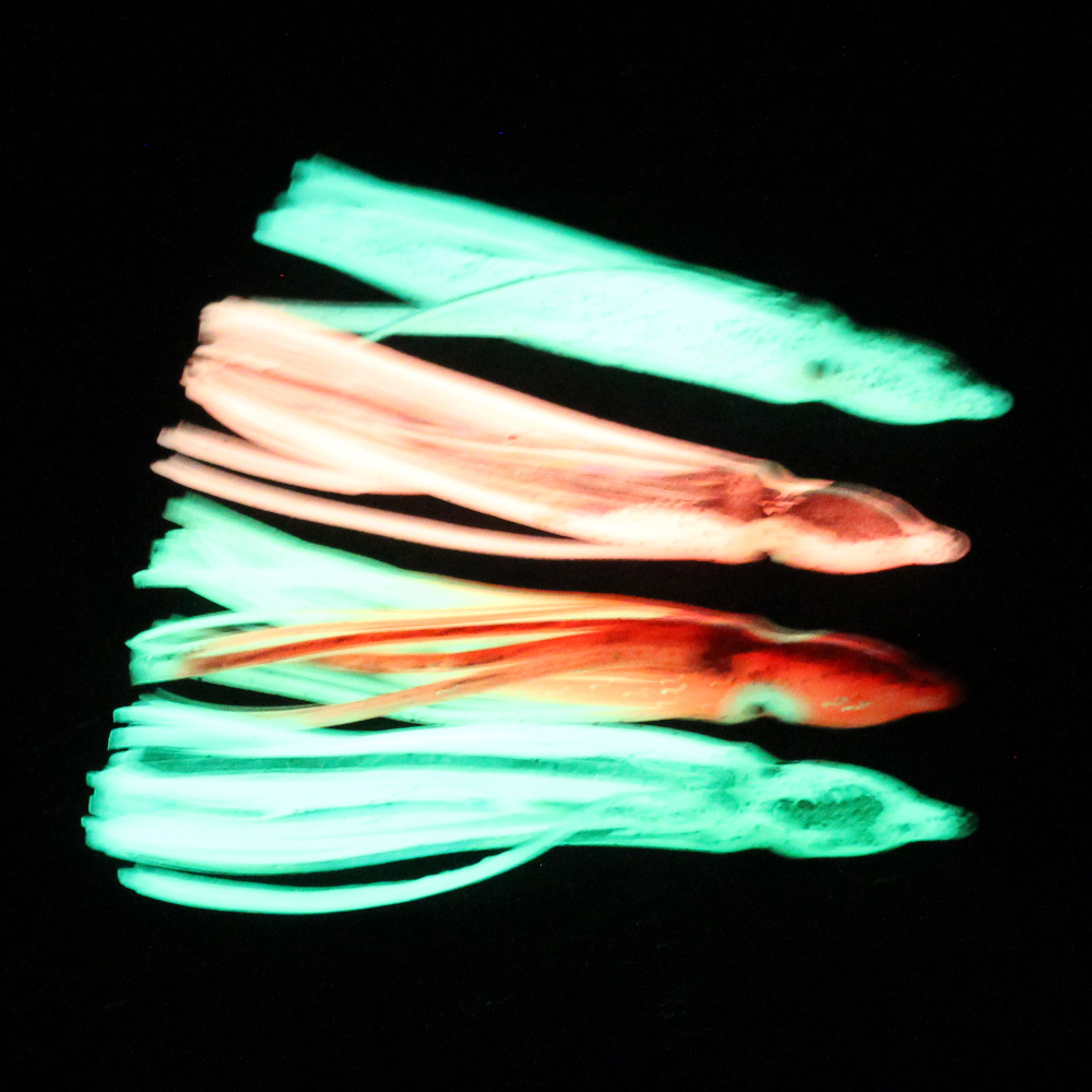 10 قطع من طُعم صيد الحبار النا - مراجعة Fishing Lure Buzzbait وسعره